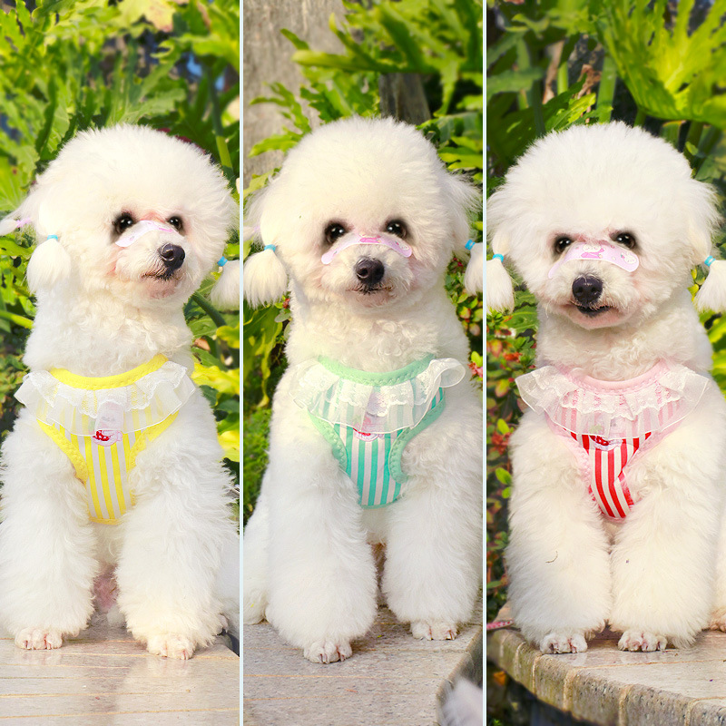 犬 ハーネス ふんわり苺モチーフハーネス