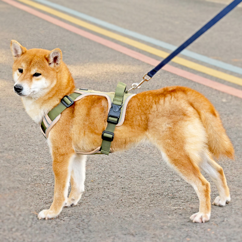 犬 ハーネス やさしい装着感 簡単ハーネス