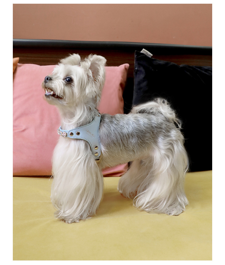 犬 ハーネス プレミアム革製輝石ハーネス
