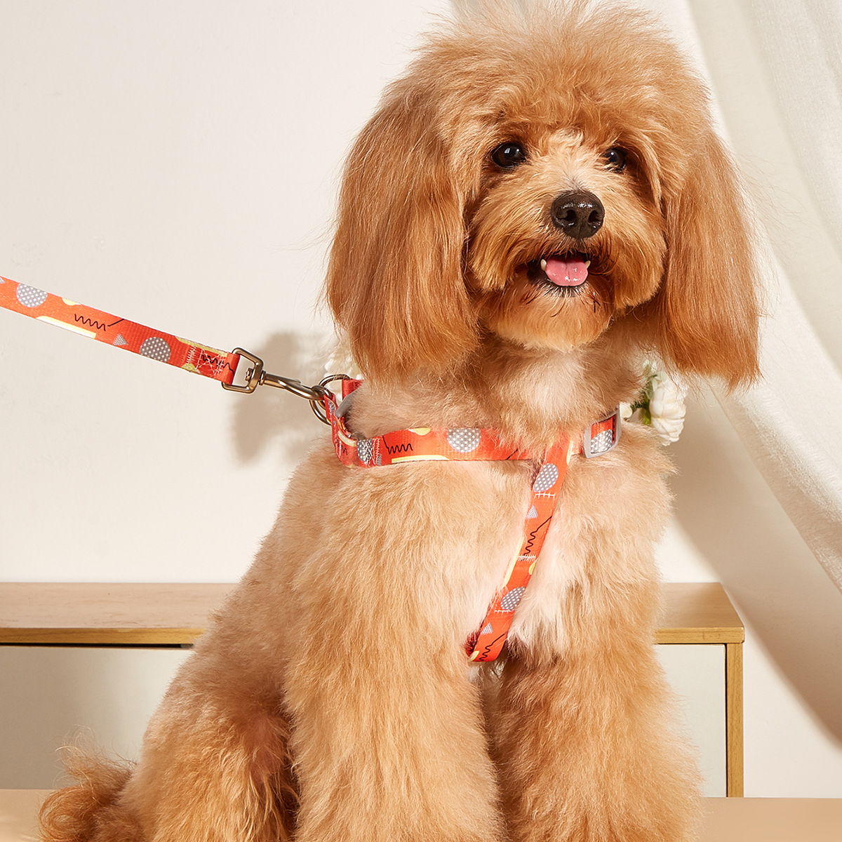 犬 ハーネス 小型犬向けポップ柄ハーネスリードセット