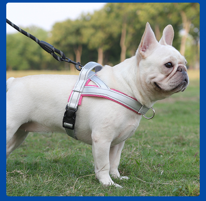 犬 ハーネス なめらか快適 むれにくい首かけハーネス