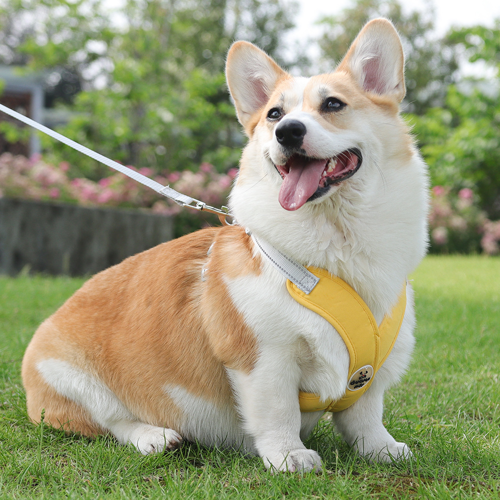 犬 ハーネス なめらか着心地 やさしいフィット ハーネス