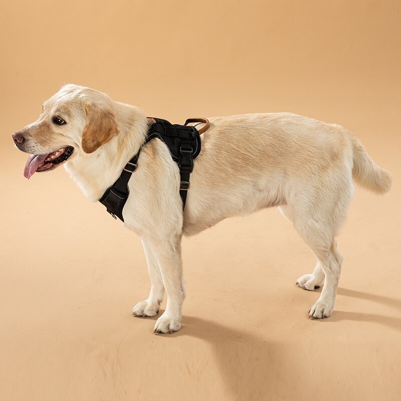 犬 ハーネス ソフトフィット 軽量ハーネス