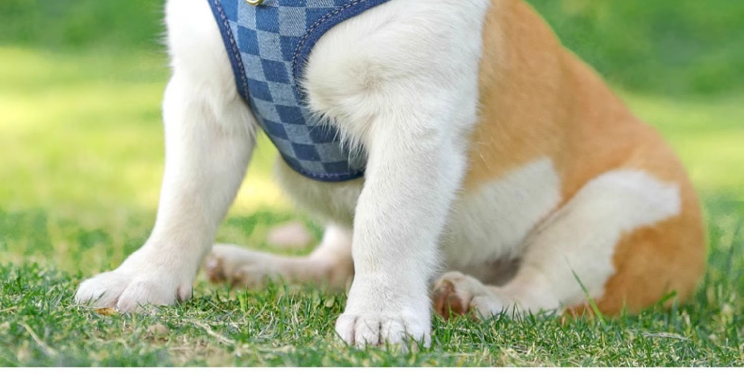 犬 ハーネス やさしい呼吸ゆったりハーネス