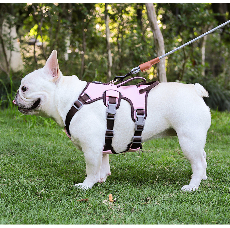 犬 ハーネス フレンチブル専用 やさしさハーネス