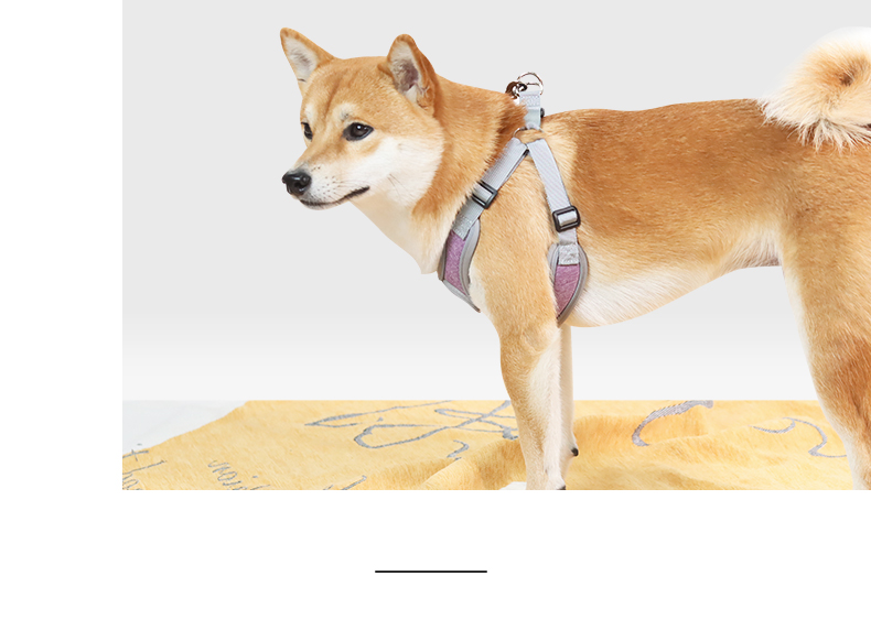 犬 ハーネス 柔軟フィット やさしいハーネス