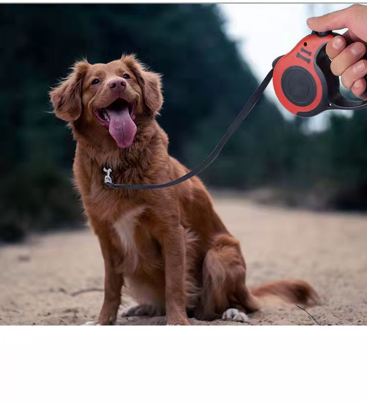 犬 ハーネス 快適お散歩ハーネス スマートスライド