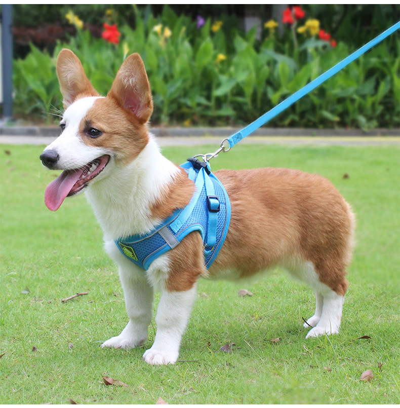 犬 ハーネス やさしさ包む メッシュハーネス