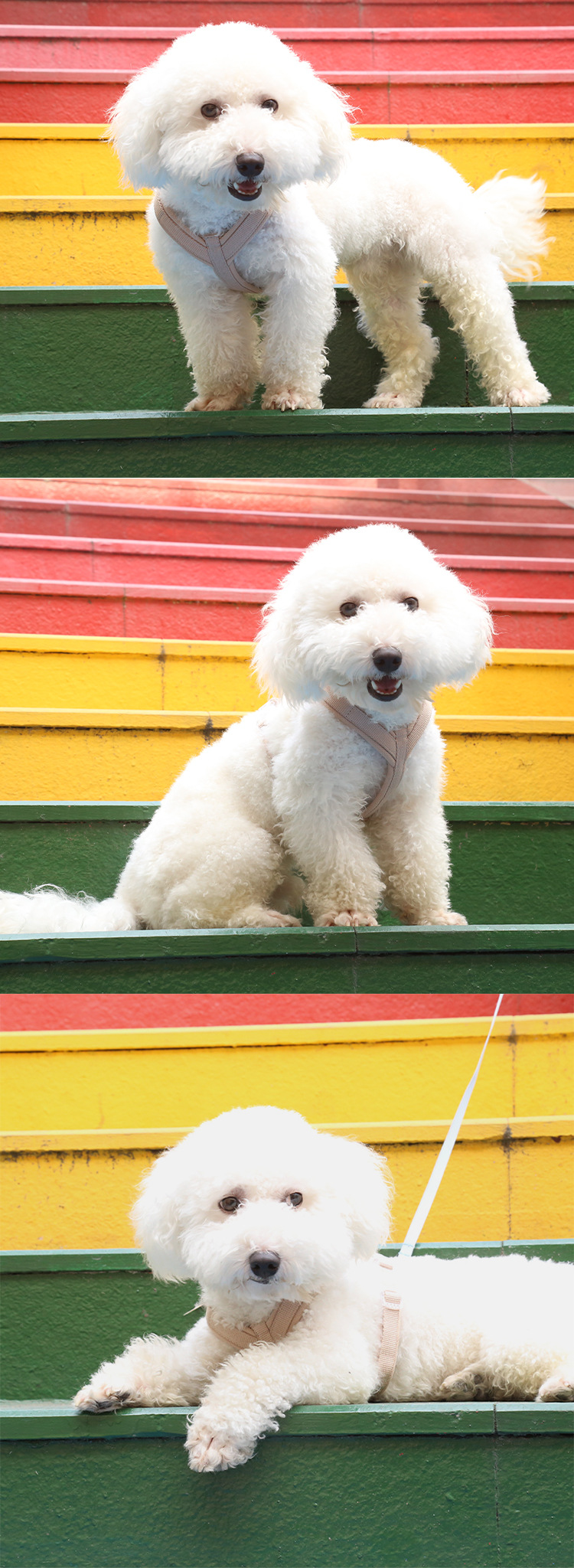 犬 ハーネス やさしい呼吸 ふわもこハーネス