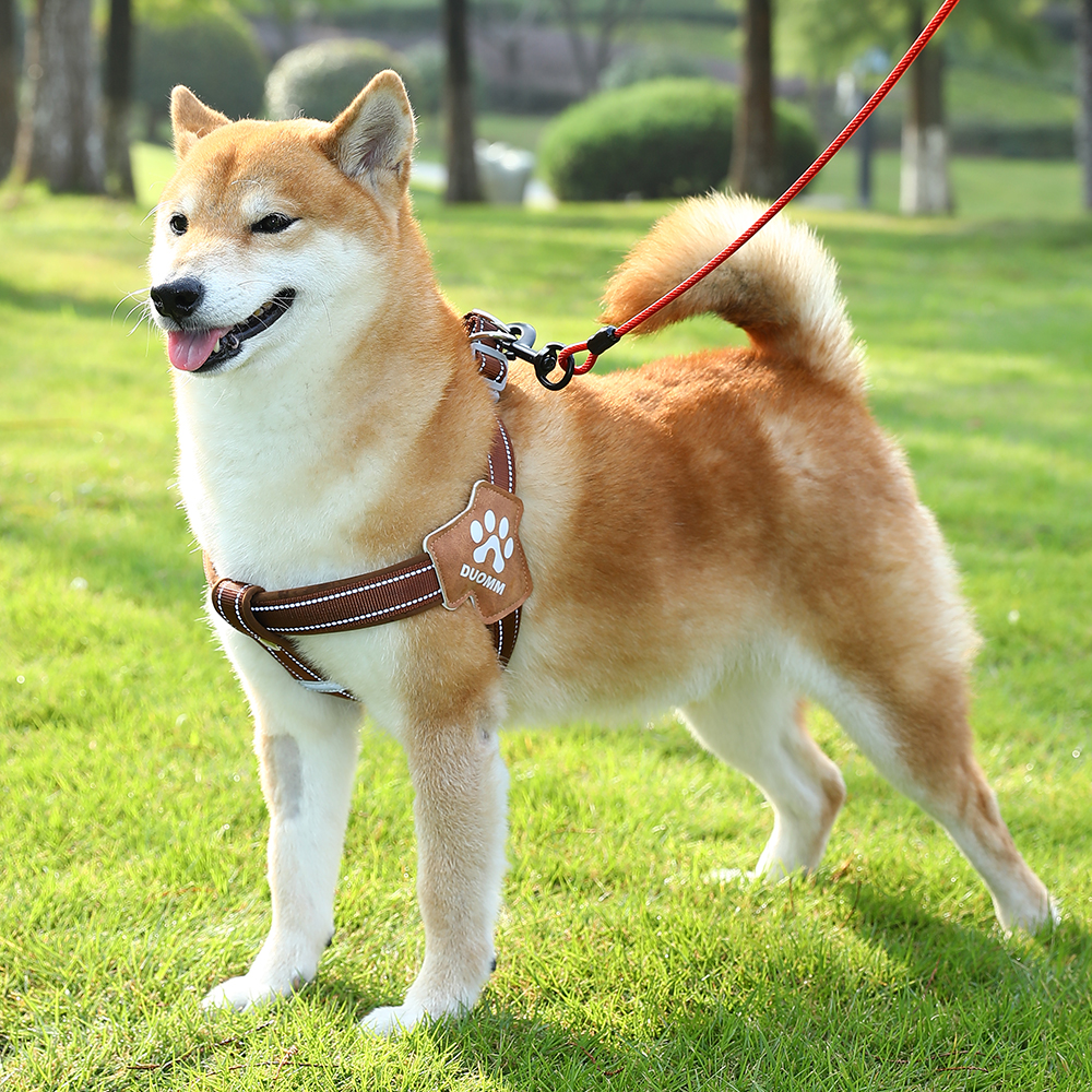 犬 ハーネス やさしい肩あて付き散歩用ハーネス