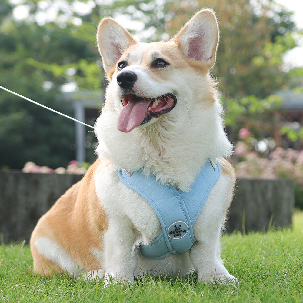 犬 ハーネス なめらか着心地 やさしいフィット ハーネス