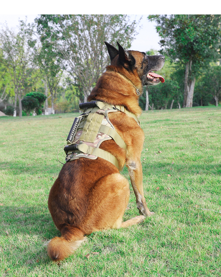 犬 ハーネス アウトドア機能性ハーネス
