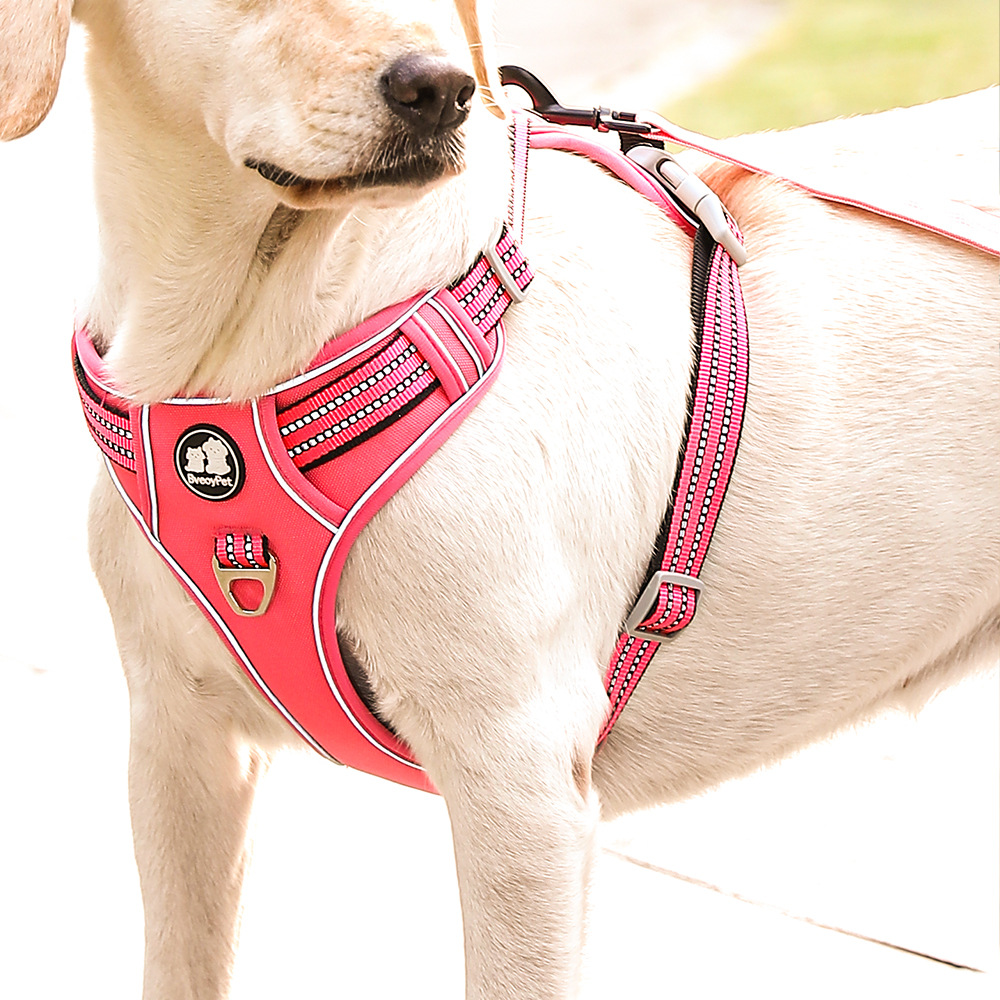 犬 ハーネス ソフトフィット安心ハーネス