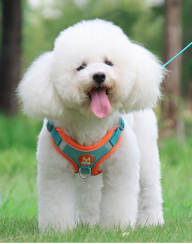 犬 ハーネス やさしい散歩ハーネス＆リードセット
