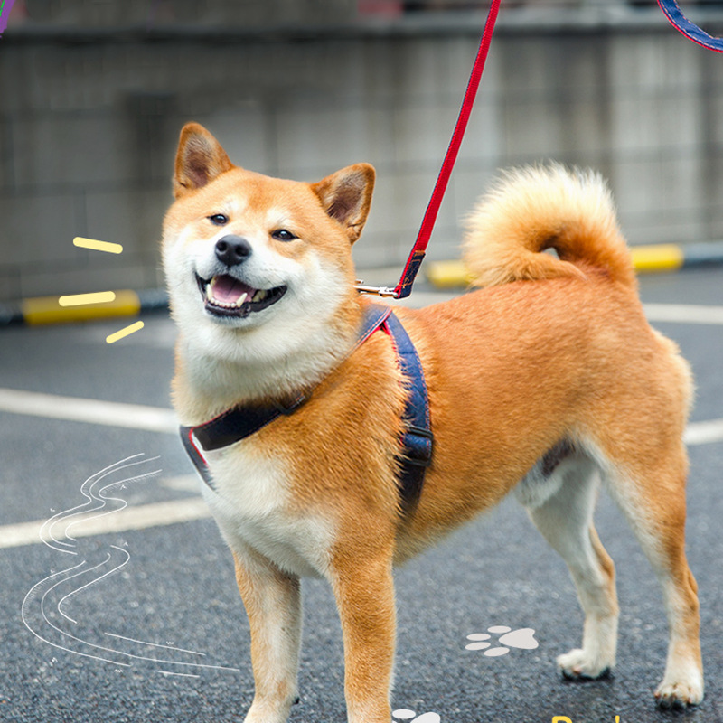 犬 ハーネス なめらか安心フィットハーネス