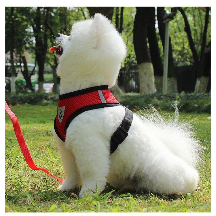 犬 ハーネス もこもこ安心メッシュハーネス
