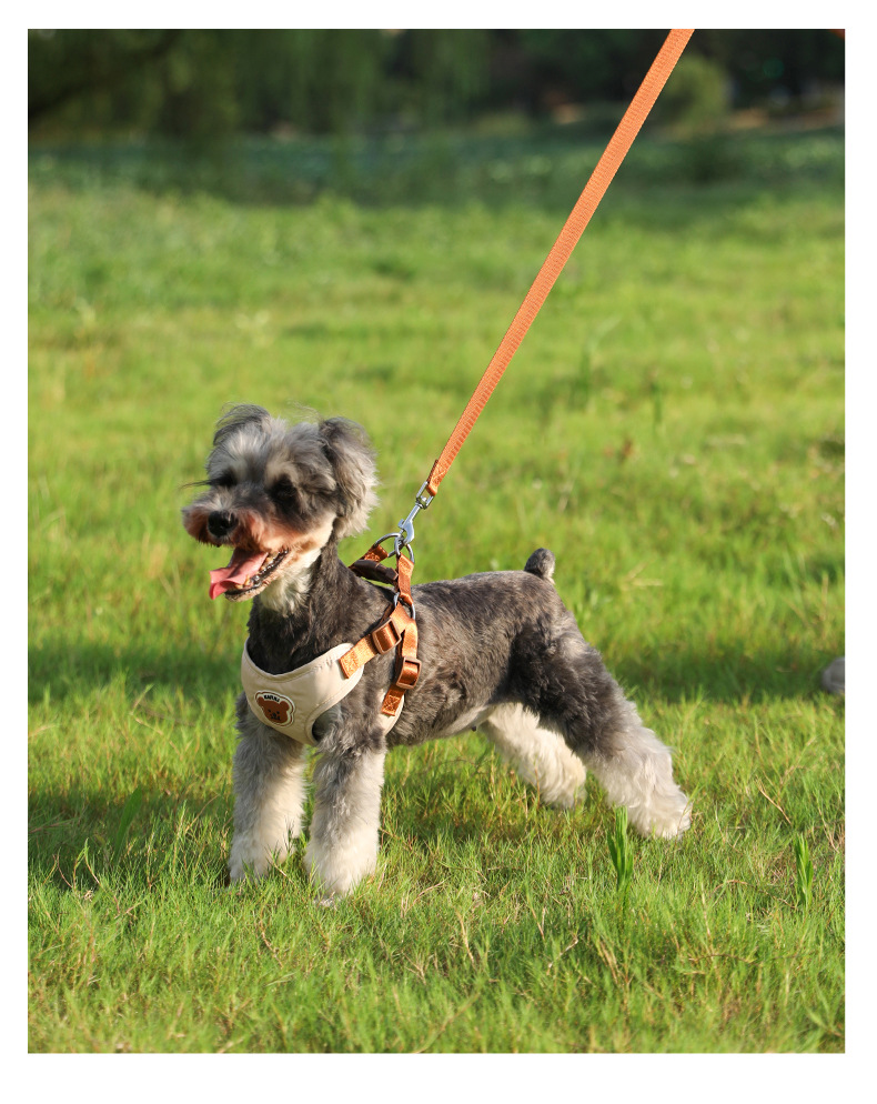 犬 ハーネス 究極の快適さを追求した 匠のハーネス