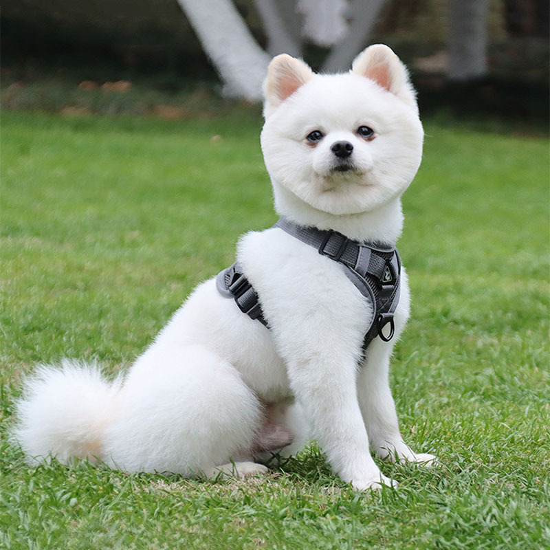 犬 ハーネス やわらか通気メッシュハーネス