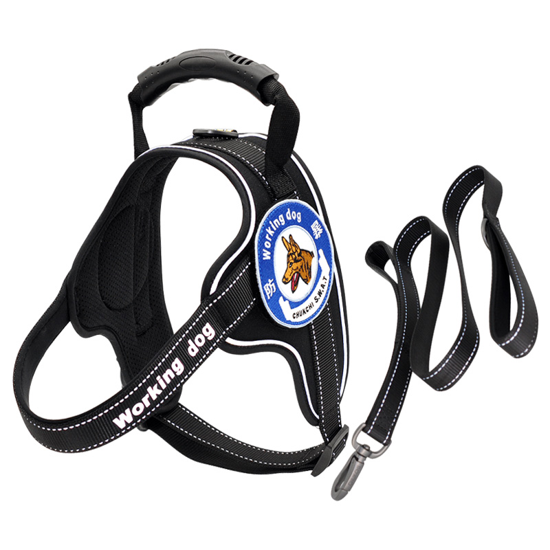 https://fulmo-img-server.com/wonderfulharness/11fab008-cee2-40cb-a5f1-37887be4dffc.jpg