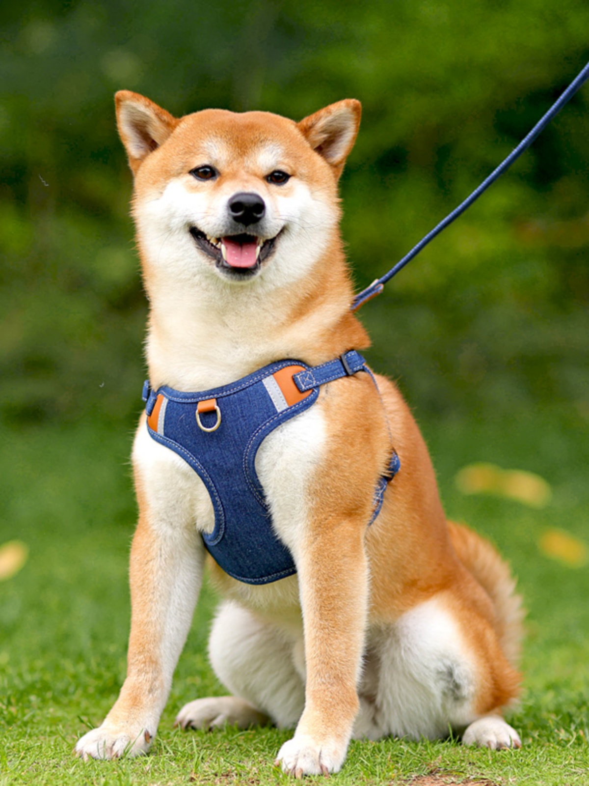 犬 ハーネス 柔らか素材のやさしいハーネス