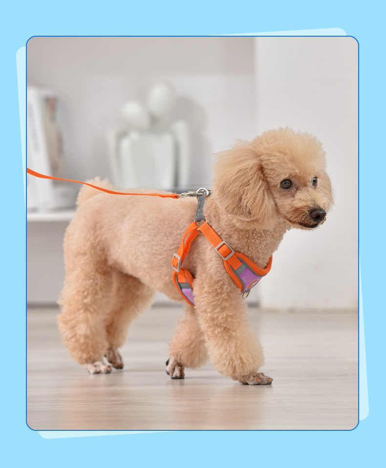 犬 ハーネス やわらか快適ハーネス