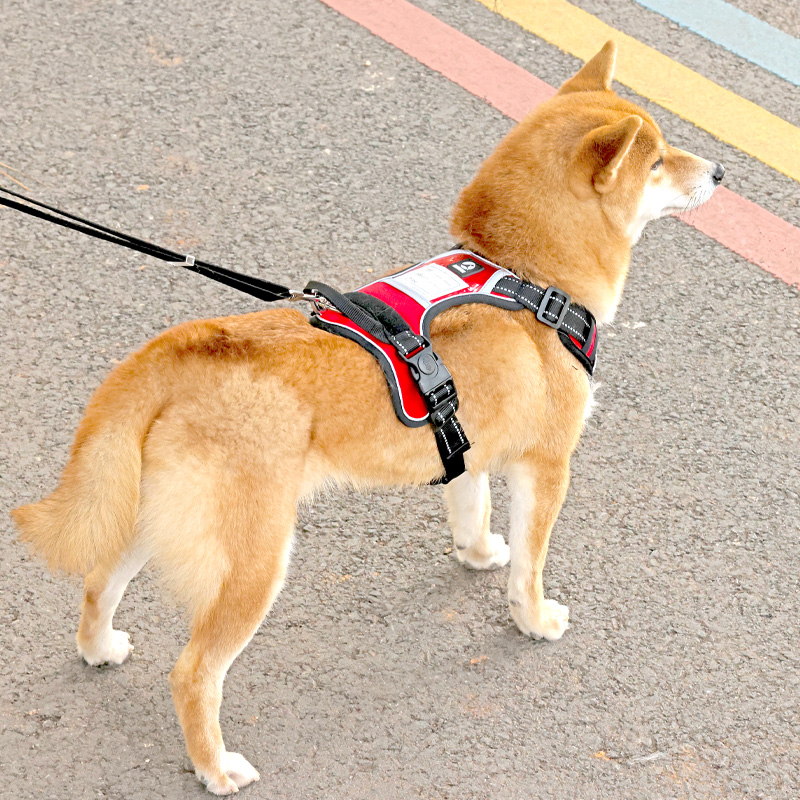 犬 ハーネス 軽量スタイリッシュ ホールドハーネス
