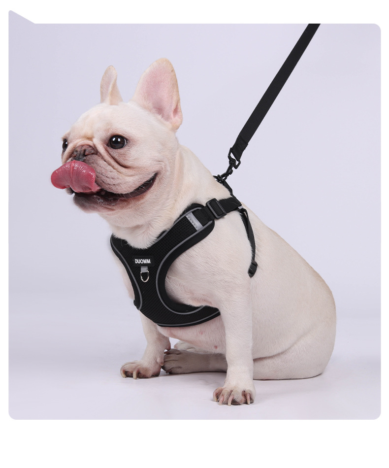 犬 ハーネス やさしい散歩ハーネス ゆったりフィット