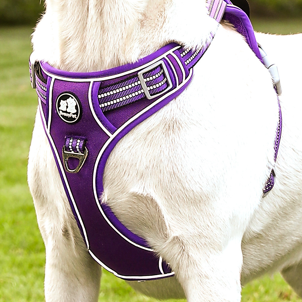 犬 ハーネス ソフトフィット安心ハーネス