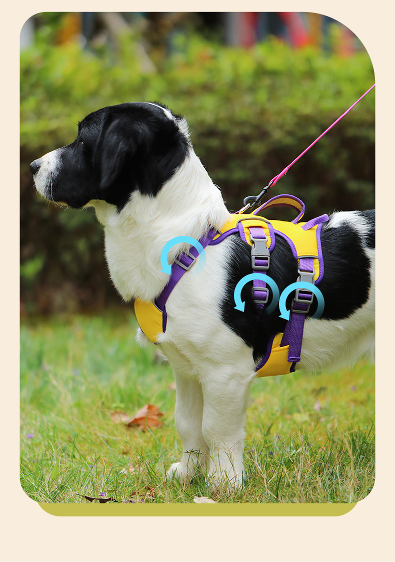 犬 ハーネス かぎ付きソフト胴輪