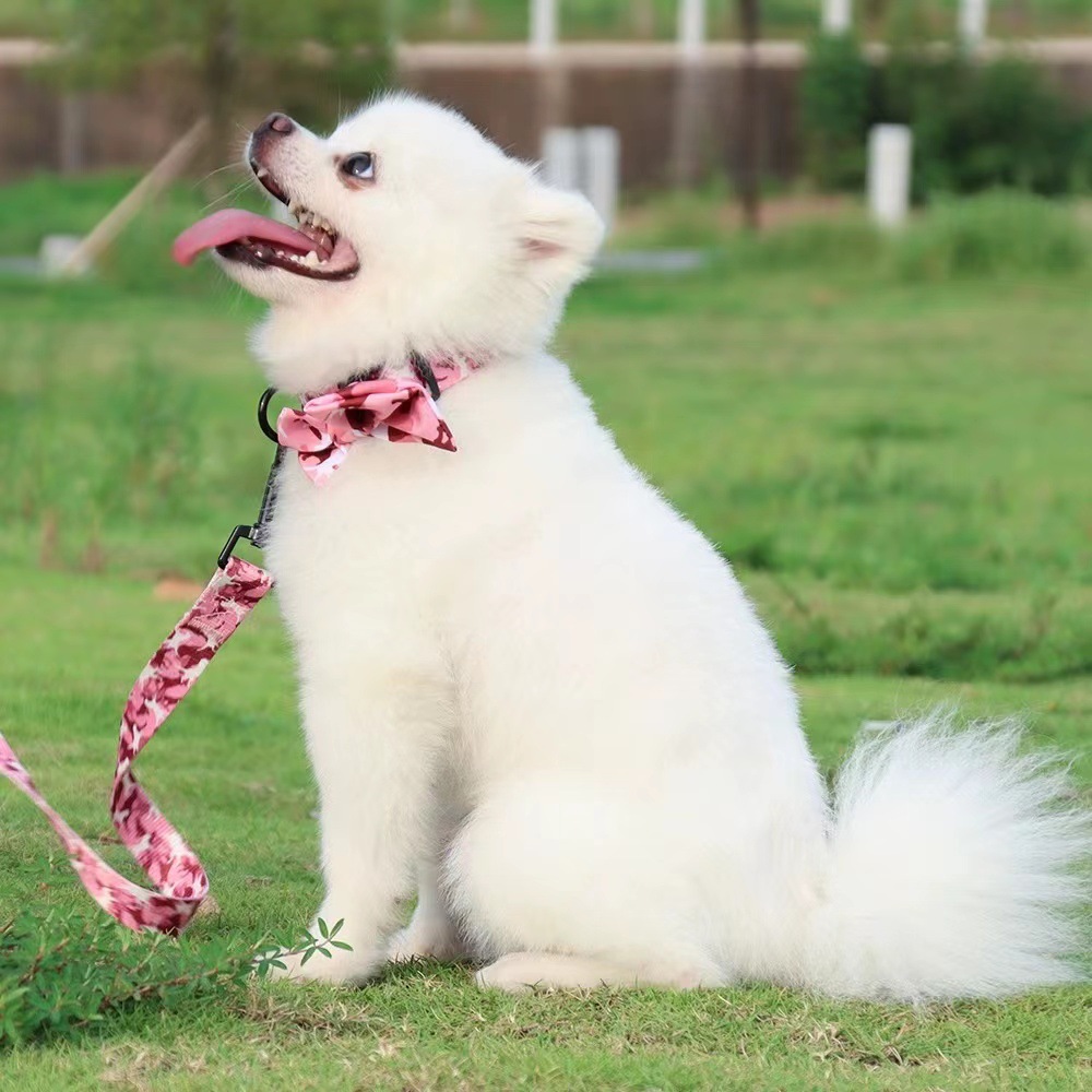 犬 ハーネス 迷彩柄ペット用お散歩セット