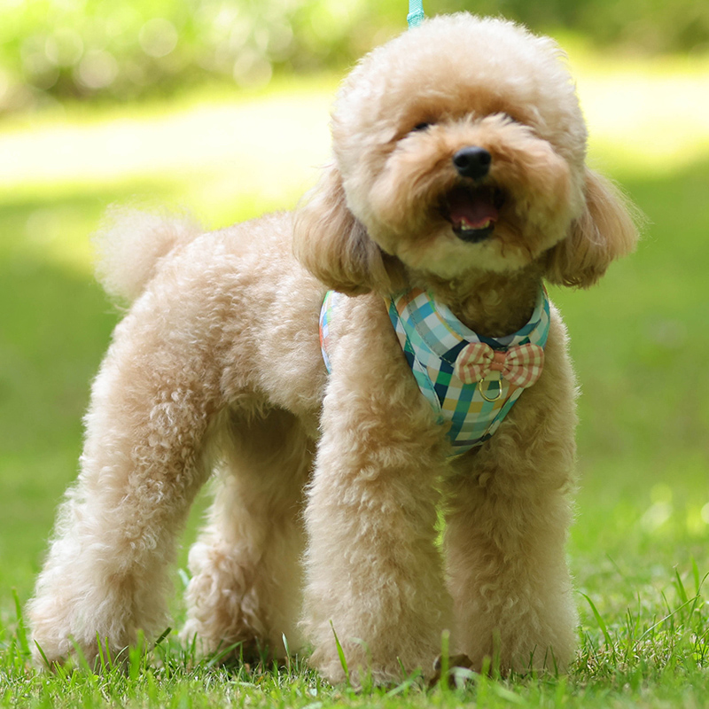 犬 ハーネス 優美な蝶結び ペットハーネス