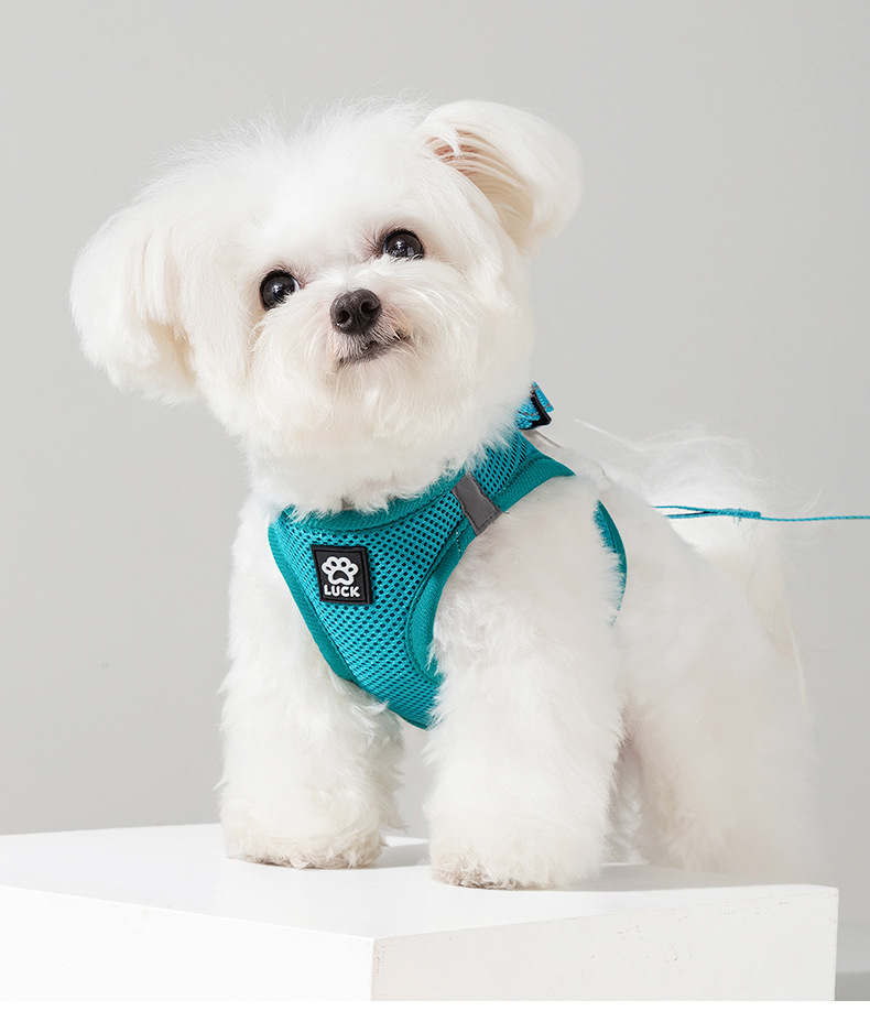 犬 ハーネス メッシュ素材のやさしい着け心地ハーネス
