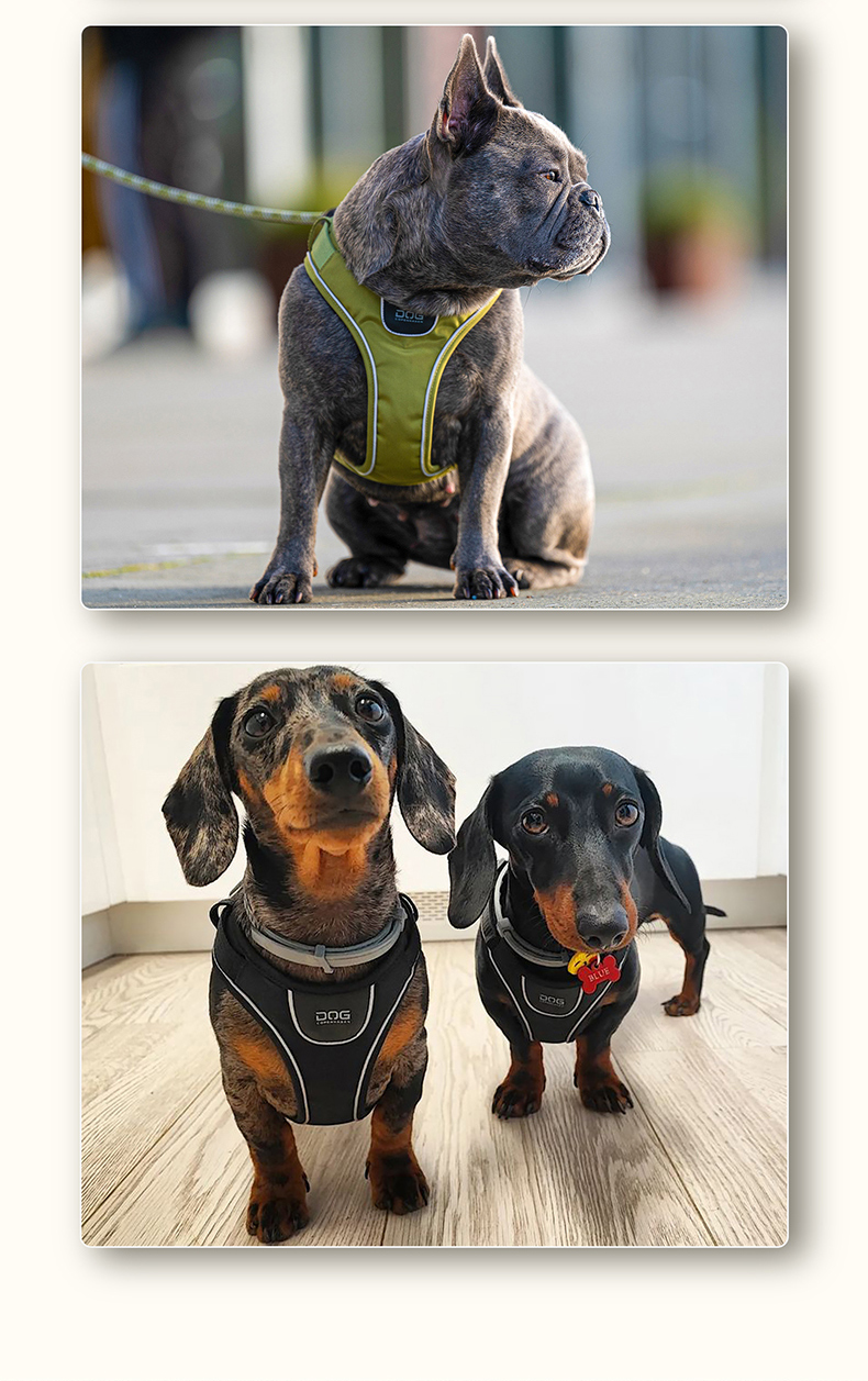 犬 ハーネス やさしい呼吸ハーネス