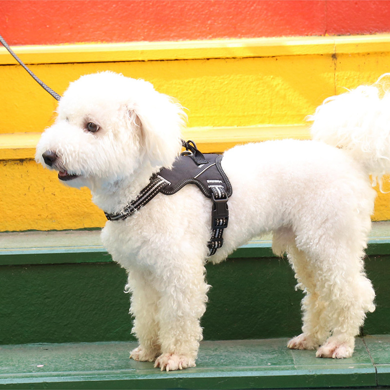 犬 ハーネス フィット快適ハーネス