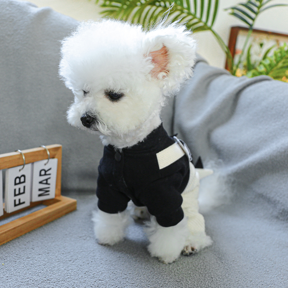 犬 ハーネス 恐竜さんのコーデュロイハーネス