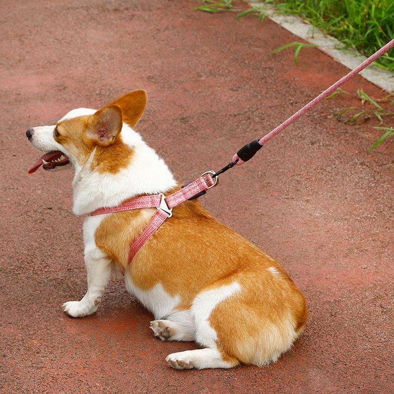 犬 ハーネス なめらか軽量ハーネスセット