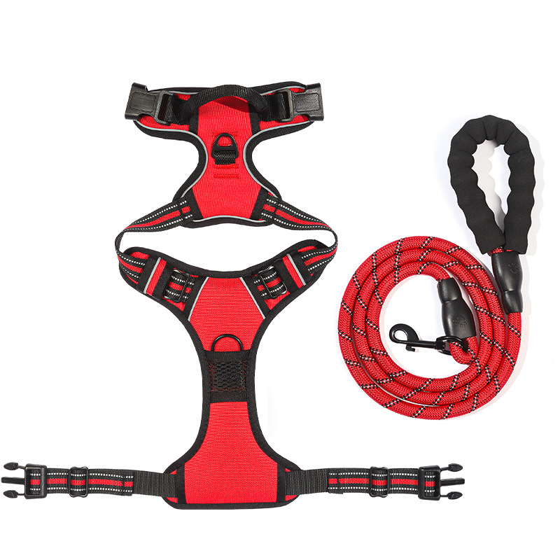 https://fulmo-img-server.com/wonderfulharness/151bbc16-9cb8-4a5c-9af1-d9b7879d8853.jpg