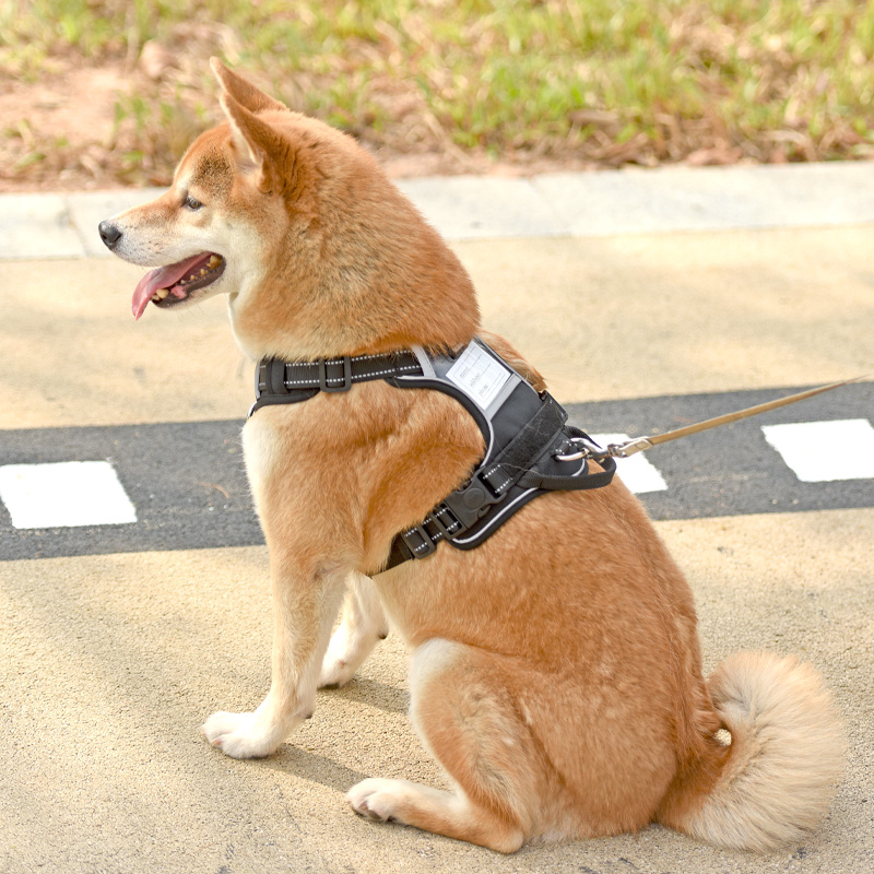 犬 ハーネス シンプル フィット ハーネス
