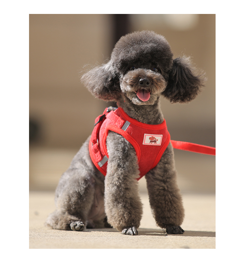 犬 ハーネス やさしい呼吸 フィット ハーネス