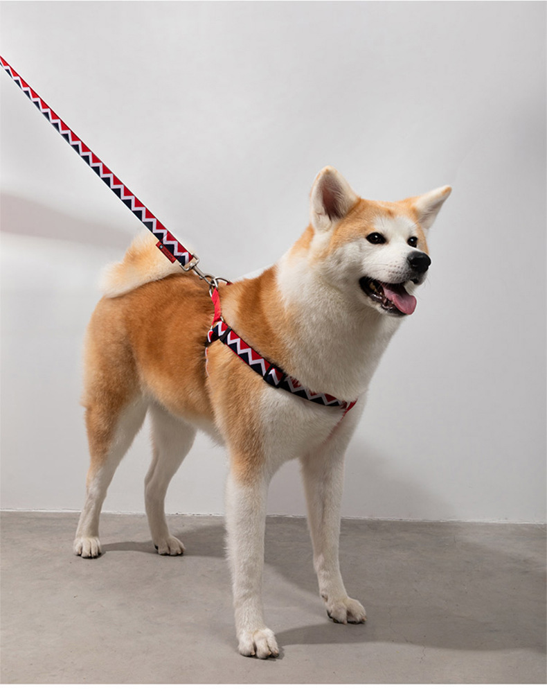 犬 ハーネス 幾何学模様 和風ハーネス
