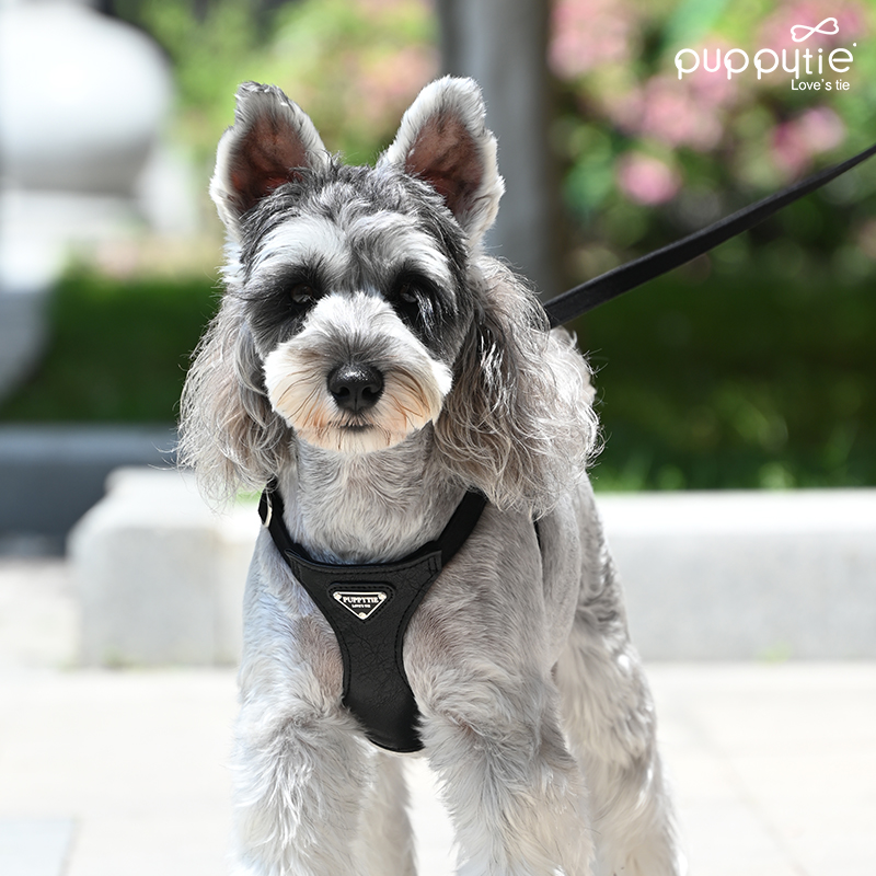 犬 ハーネス しなやかフィット装着具