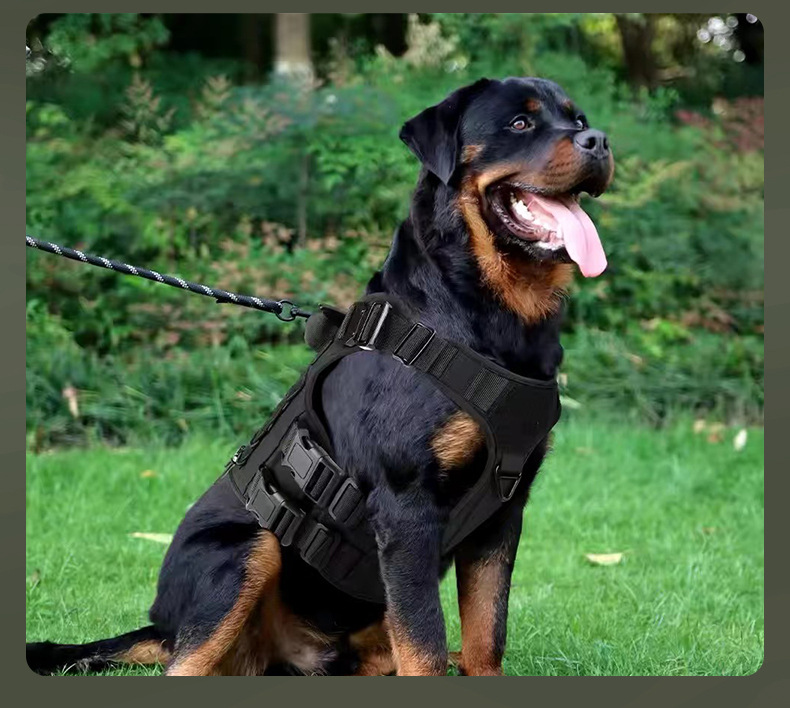https://fulmo-img-server.com/wonderfulharness/15a4e01e-a67b-4b45-a97d-bc51c195b127.jpg