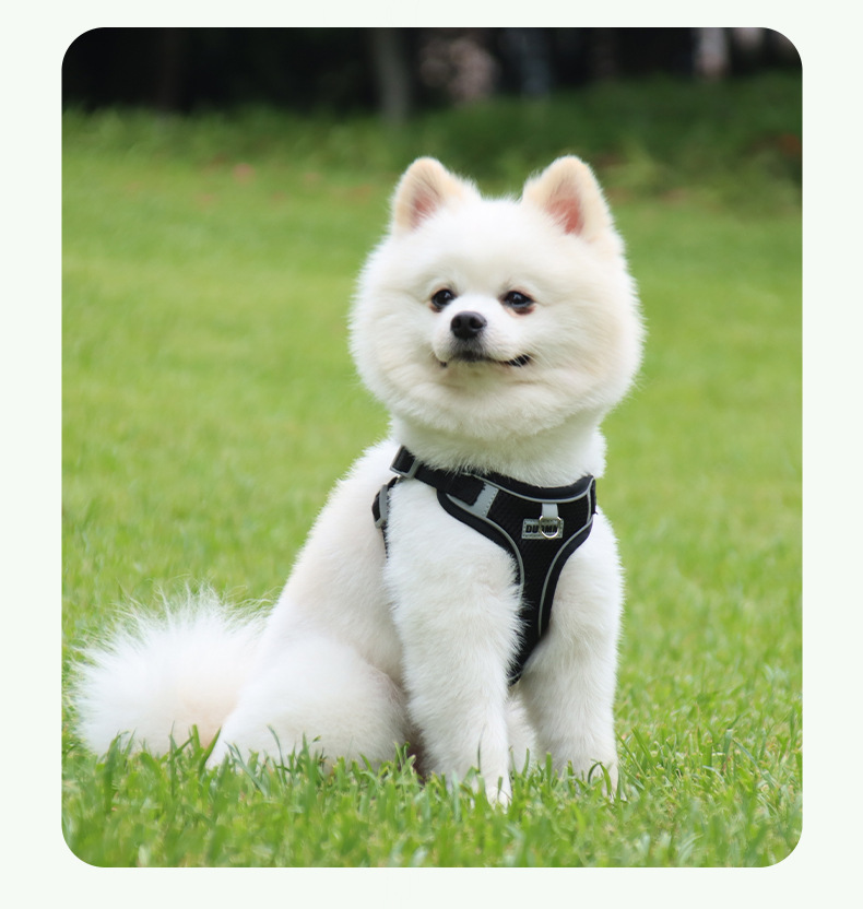 犬 ハーネス なめらか安心ハーネス