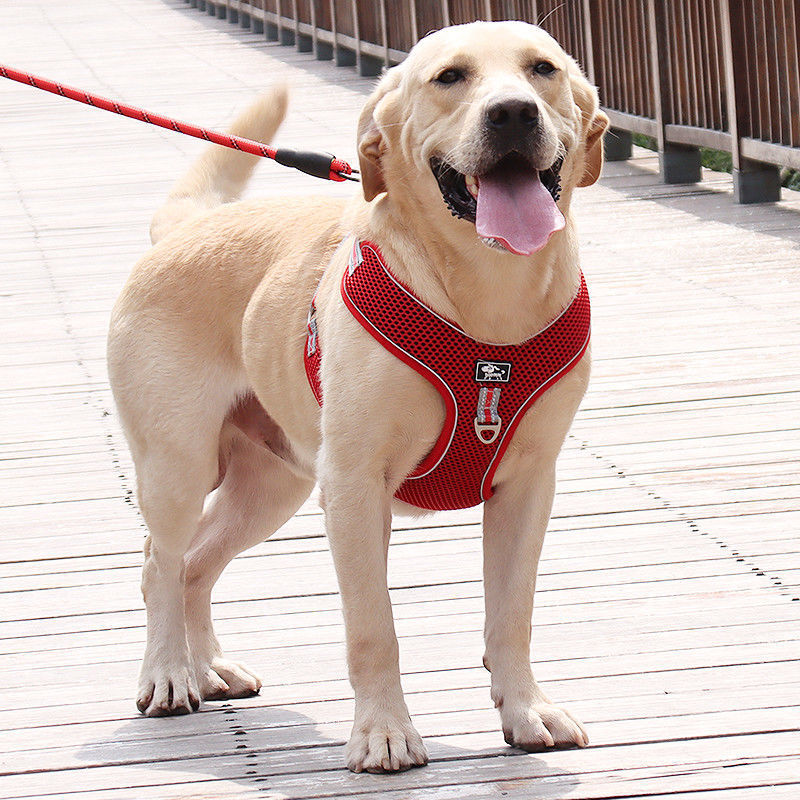 犬 ハーネス やさしさ包む ゆとりハーネス