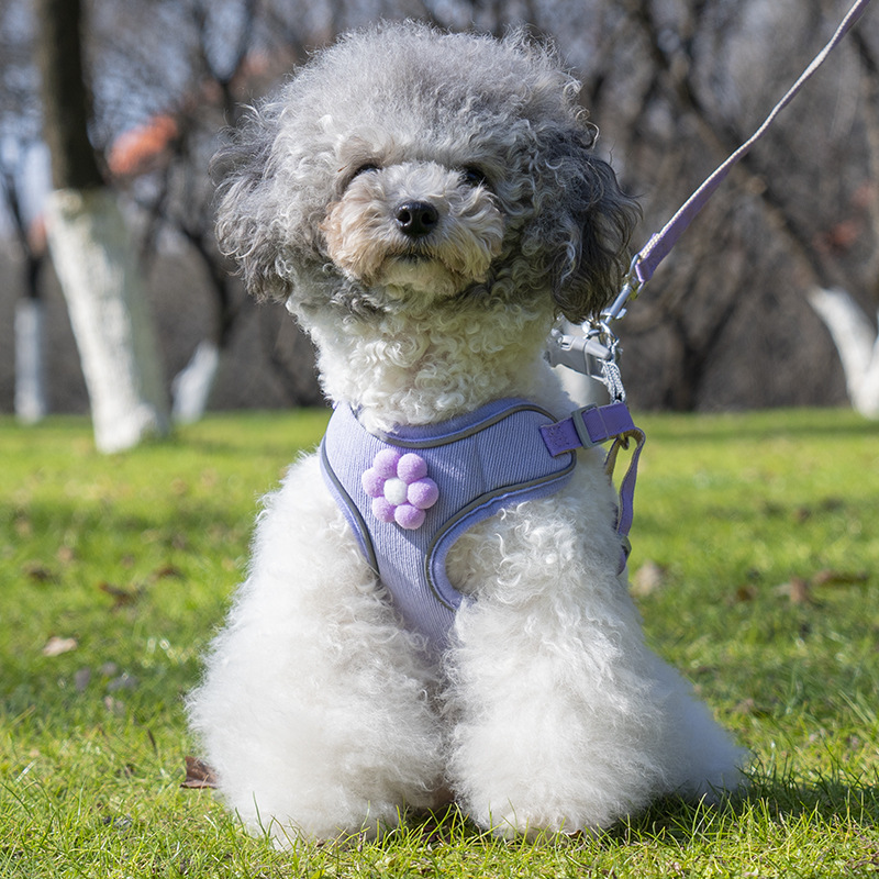 犬 ハーネス 優美な装いリボン付きハーネス