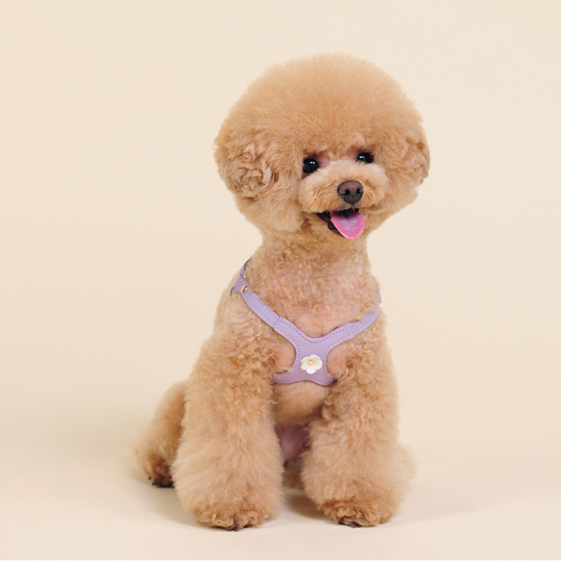 犬 ハーネス やわらか革調ハーネス