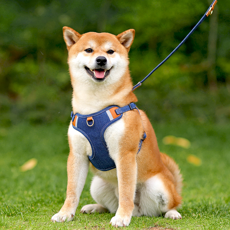 犬 ハーネス 柔らか素材のやさしいハーネス