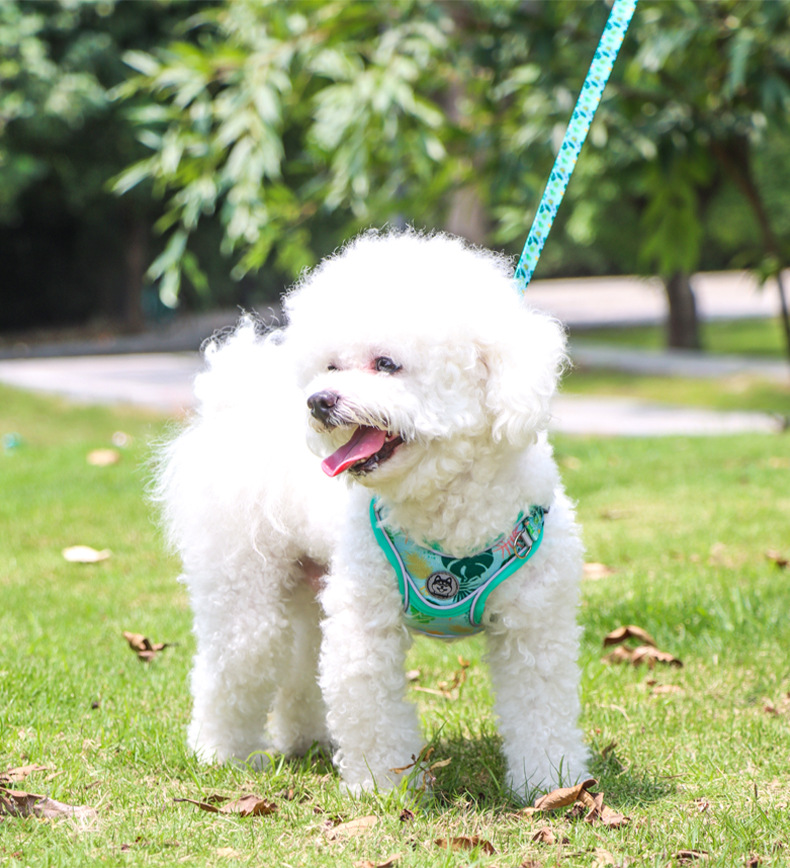 犬 ハーネス 快適お散歩ハーネス 爽やか軽量タイプ
