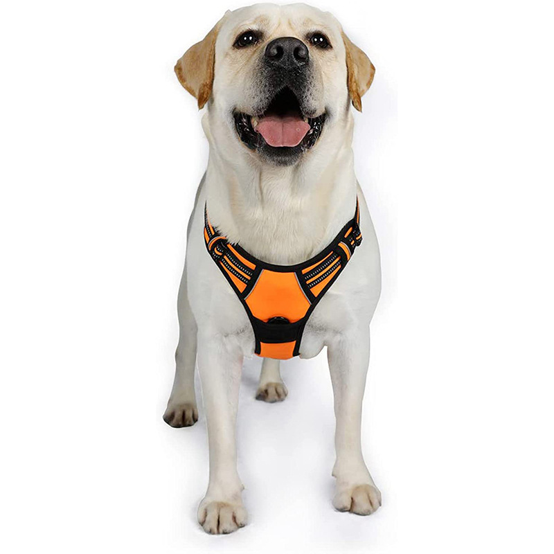 犬 ハーネス やさしさ包む ふんわりハーネス
