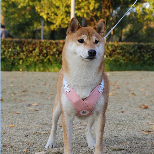 犬 ハーネス やさしい着け心地 ゆったりハーネス